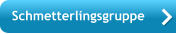 Schmetterlingsgruppe